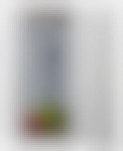 Морозильная камера pozis fv-115. Морозильный ларь berson bl 512. Позис габариты морозильник. Морозильник pozis fv nf-117 r. Морозильная камера донr106.